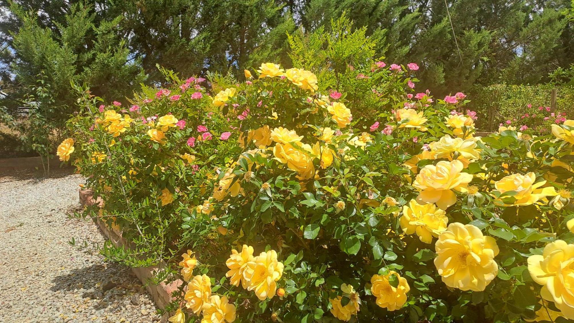 African Dawn B&B Calvinia 외부 사진